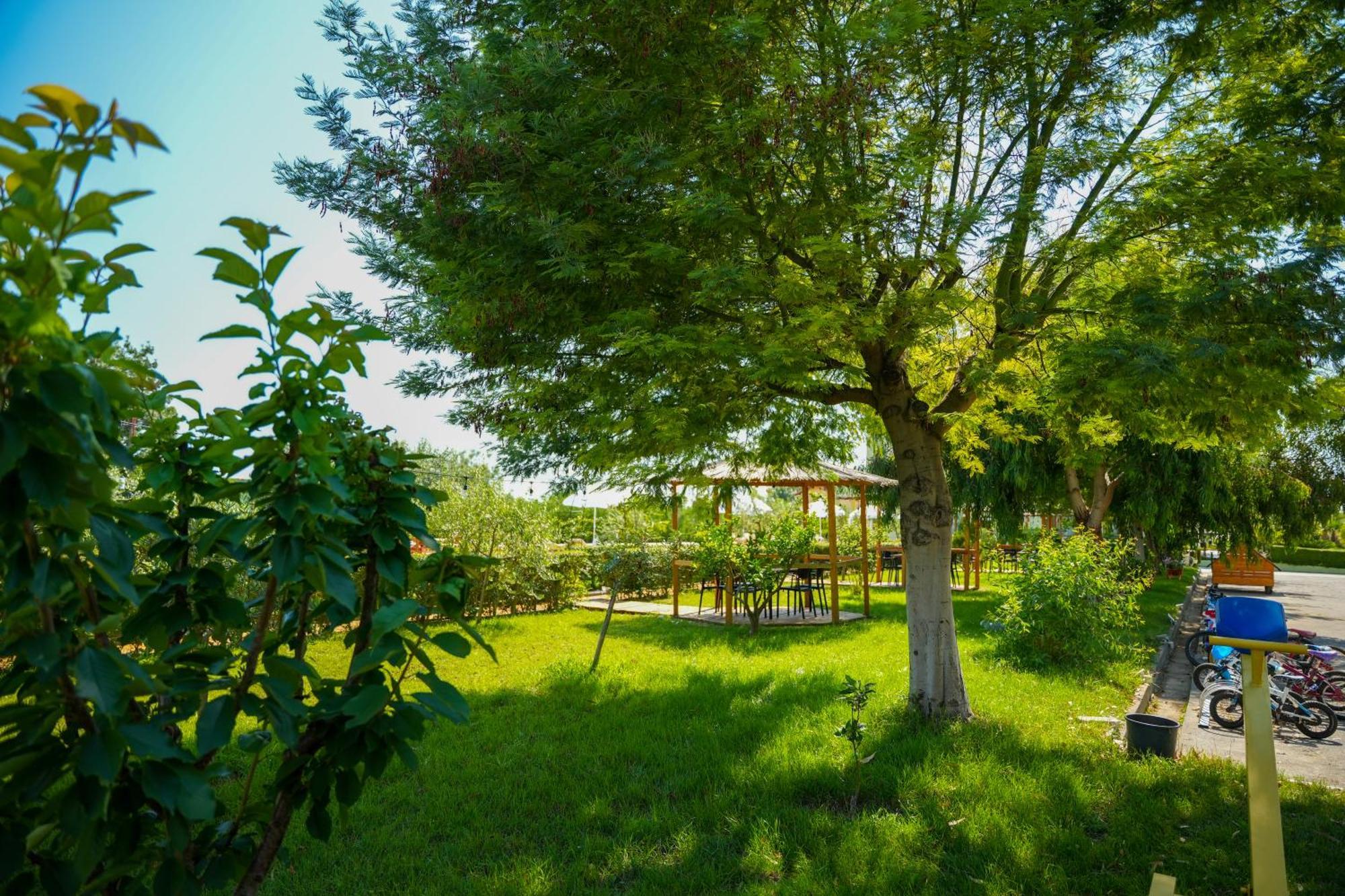 Paradise Laguna Vain Lezhë المظهر الخارجي الصورة